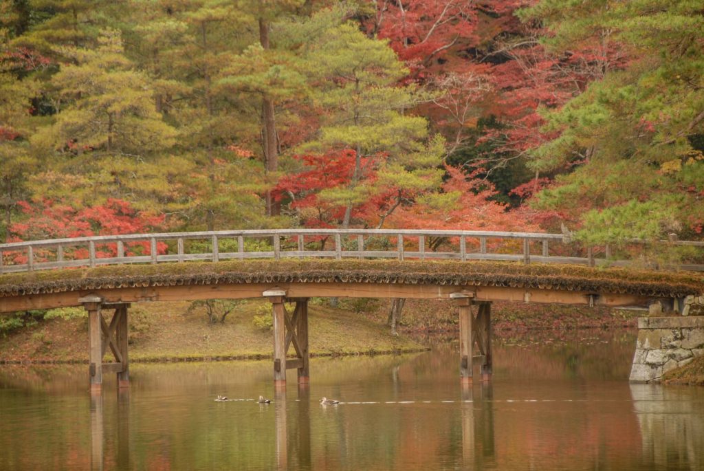 Best Autumn Leaves Spots in Kyoto #10 - Shugakuin Imperial Villa 3