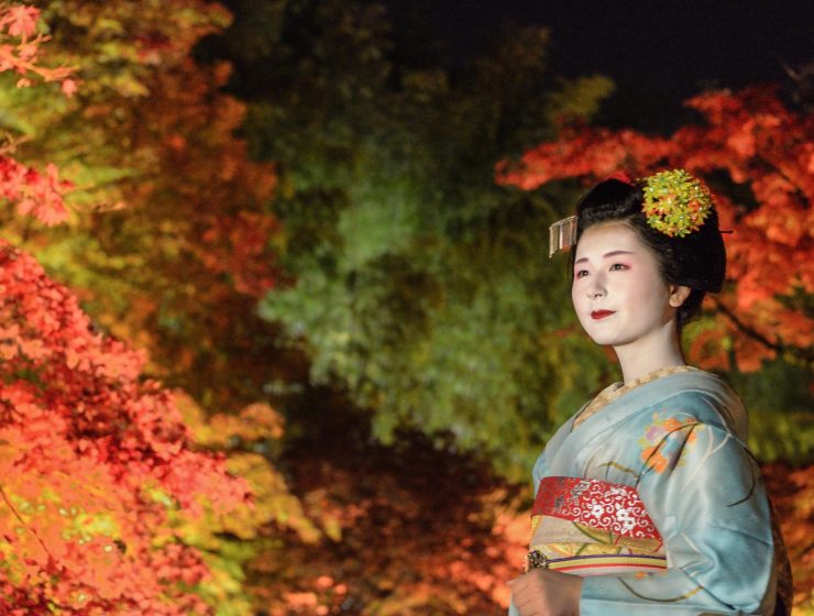 Best Autumn Leaves Spots in Kyoto #2 - Kodai-ji 2