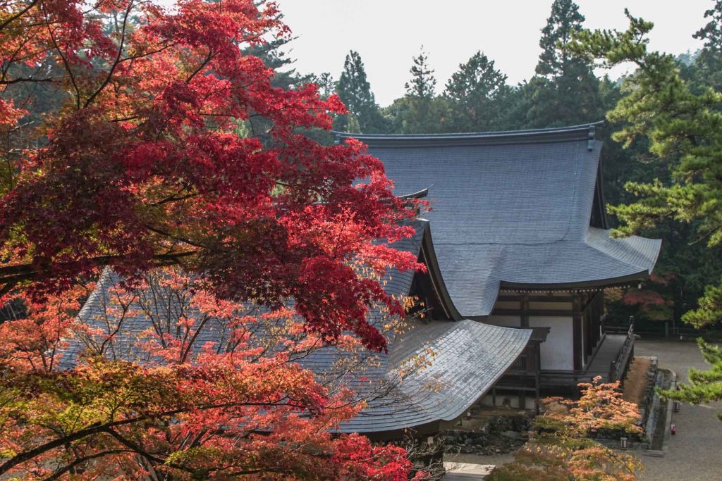Best Autumn Leaves Spots in Kyoto #4 - Takao Jingoji Temple