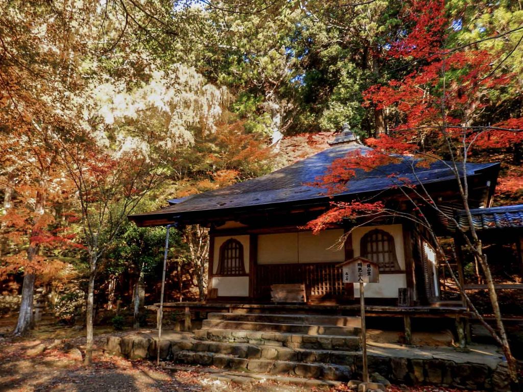 Best Autumn Leaves Spots in Kyoto #4 - Takao Kozanji Temple