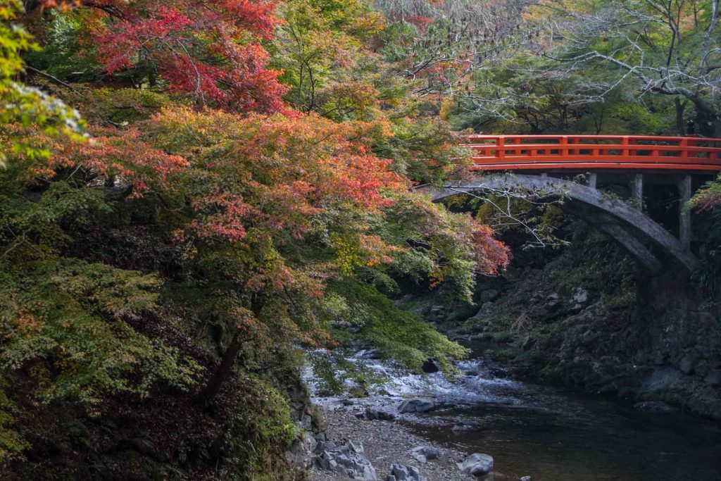 Best Autumn Leaves Spots in Kyoto #4 - Takao Saimyoji Temple
