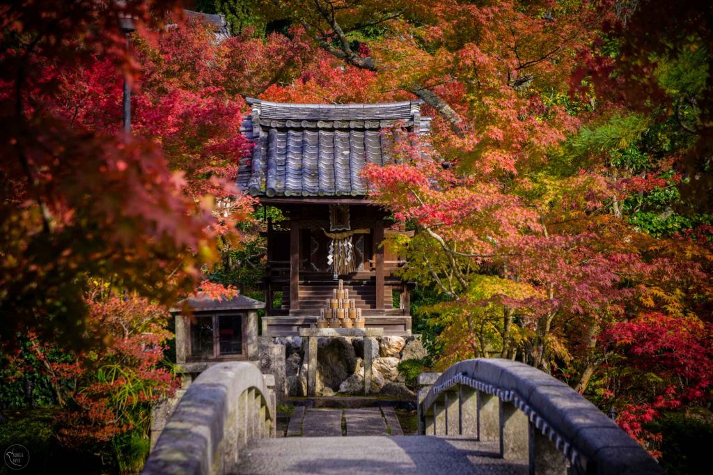 Best Autumn Leaves Spots in Kyoto #5 - Eikan-do Temple 