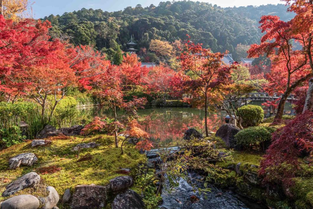 Best Autumn Leaves Spots in Kyoto #5 - Eikan-do Temple 