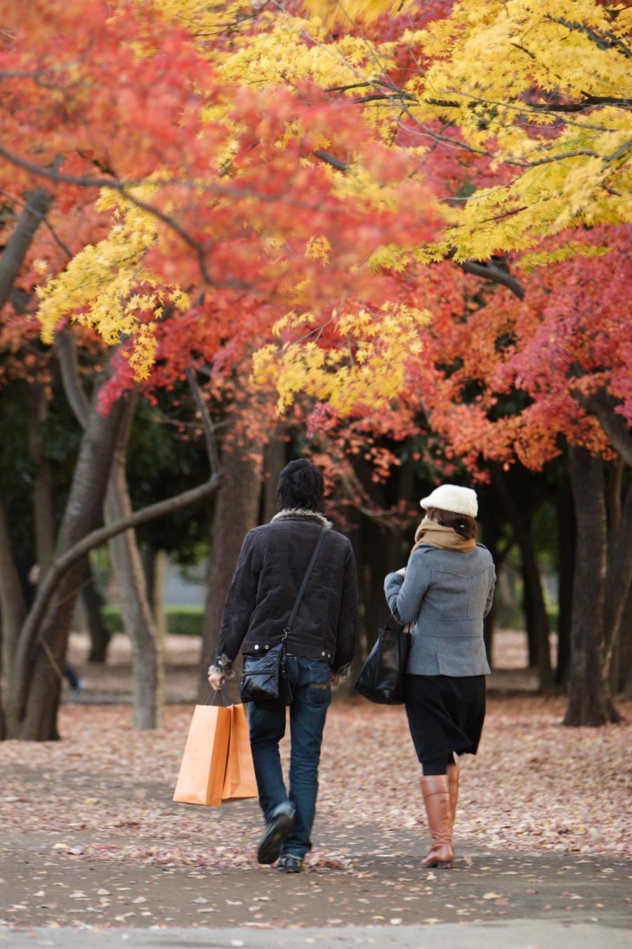 The 10 Best Autumn Leaves Spots In Tokyo You MUST Visit!