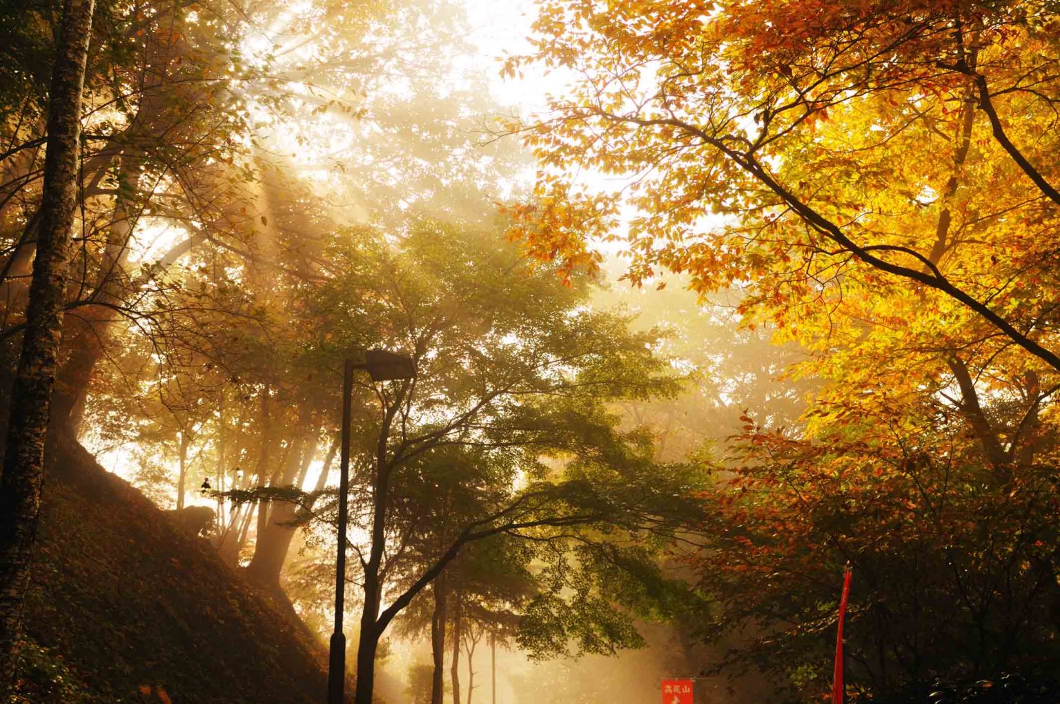 The 10 Most Beautiful Autumn Leaves Spots In Japan