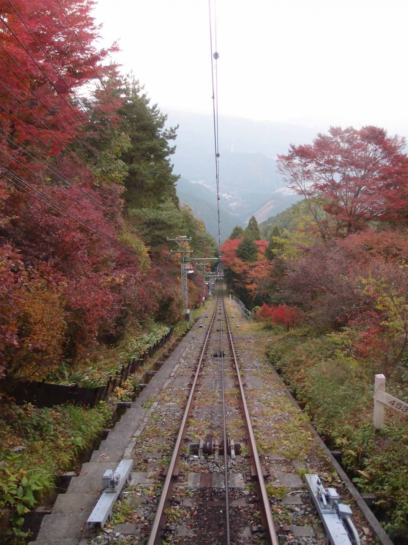 The 10 Best Autumn Leaves Spots In Tokyo You MUST Visit the-10-best-autumn-leaves-spots-in-tokyo-you-must-visit
