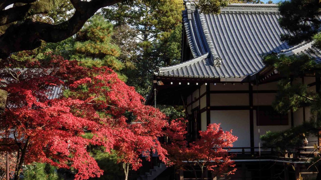 The 10 Best Autumn Leaves Spots In Kyoto You Should Visit