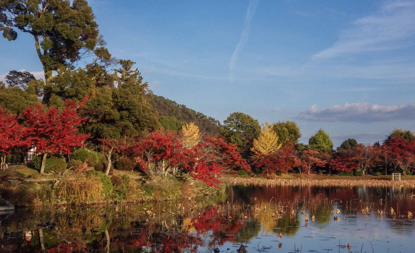 The 10 Best Autumn Leaves Spots In Kyoto You Should Visit