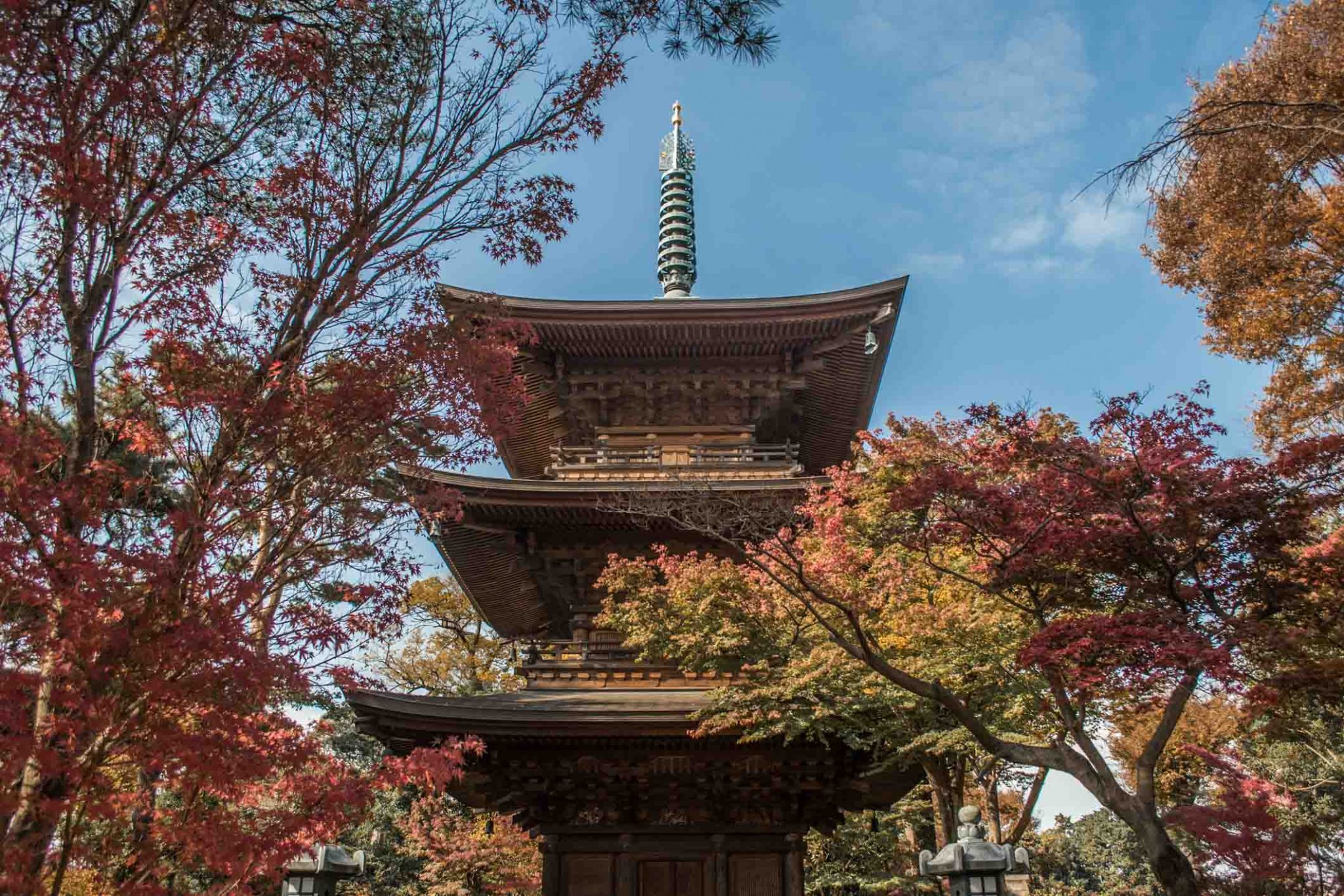 The 10 Best Autumn Leaves Spots In Tokyo You MUST Visit the-10-best-autumn-leaves-spots-in-tokyo-you-must-visit
