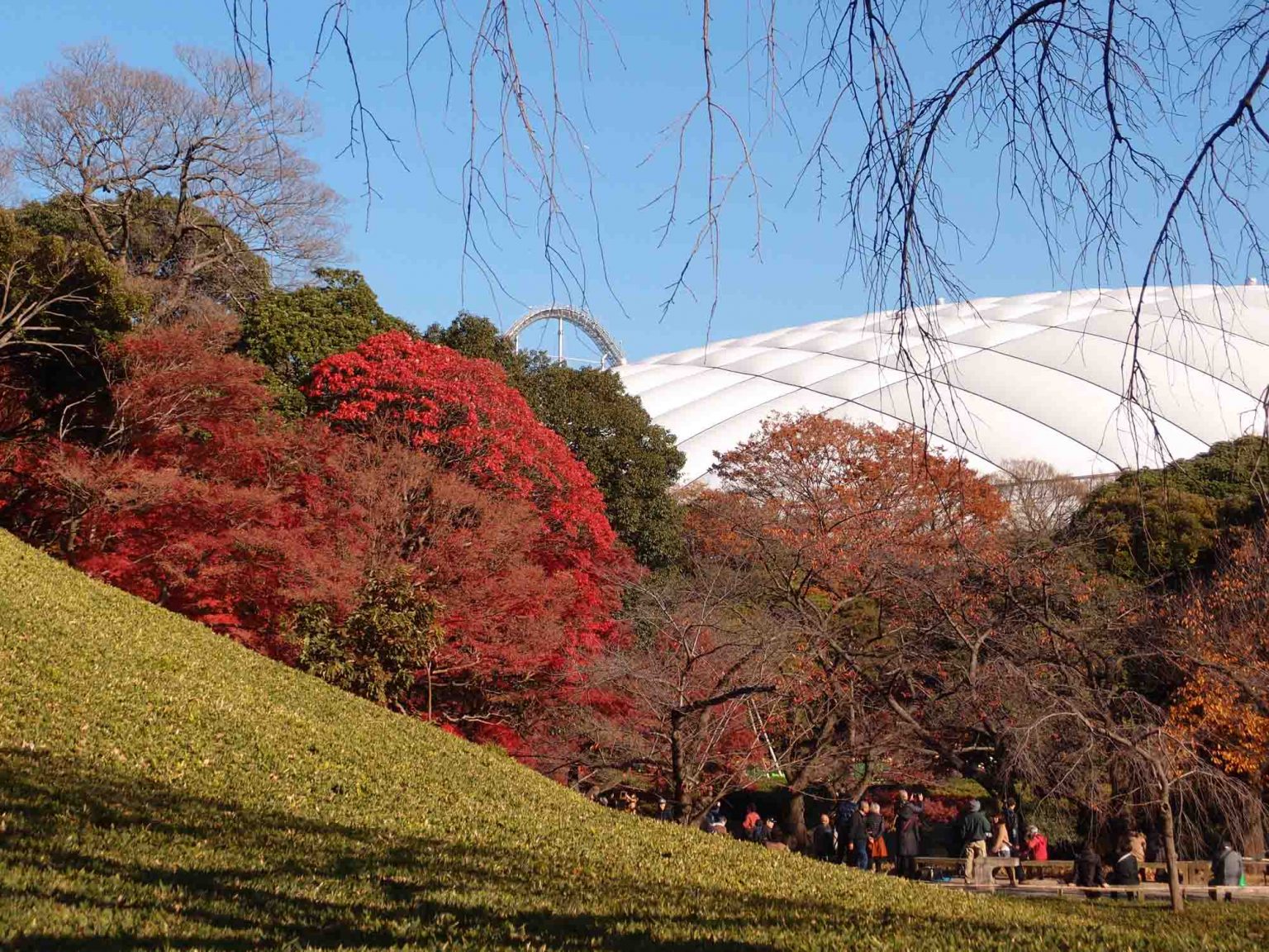 The 10 Best Autumn Leaves Spots In Tokyo You MUST Visit!