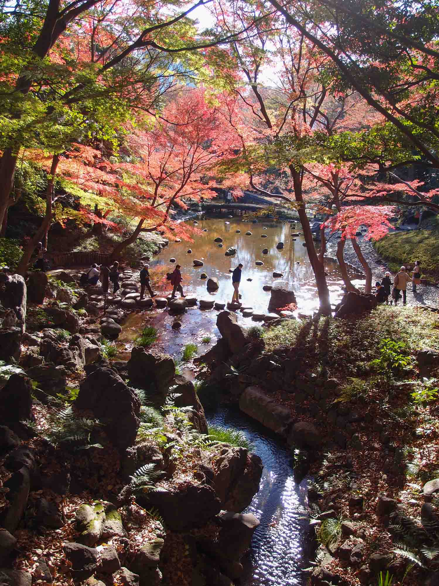 The 10 Best Autumn Leaves Spots In Tokyo You MUST Visit!