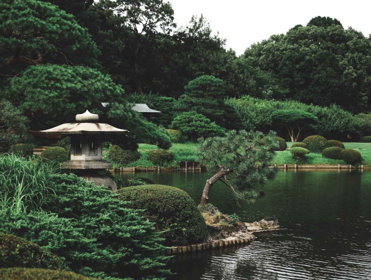 Best gardens in Japan #4 - Shinjuku-Gyoen (Tokyo) 1
