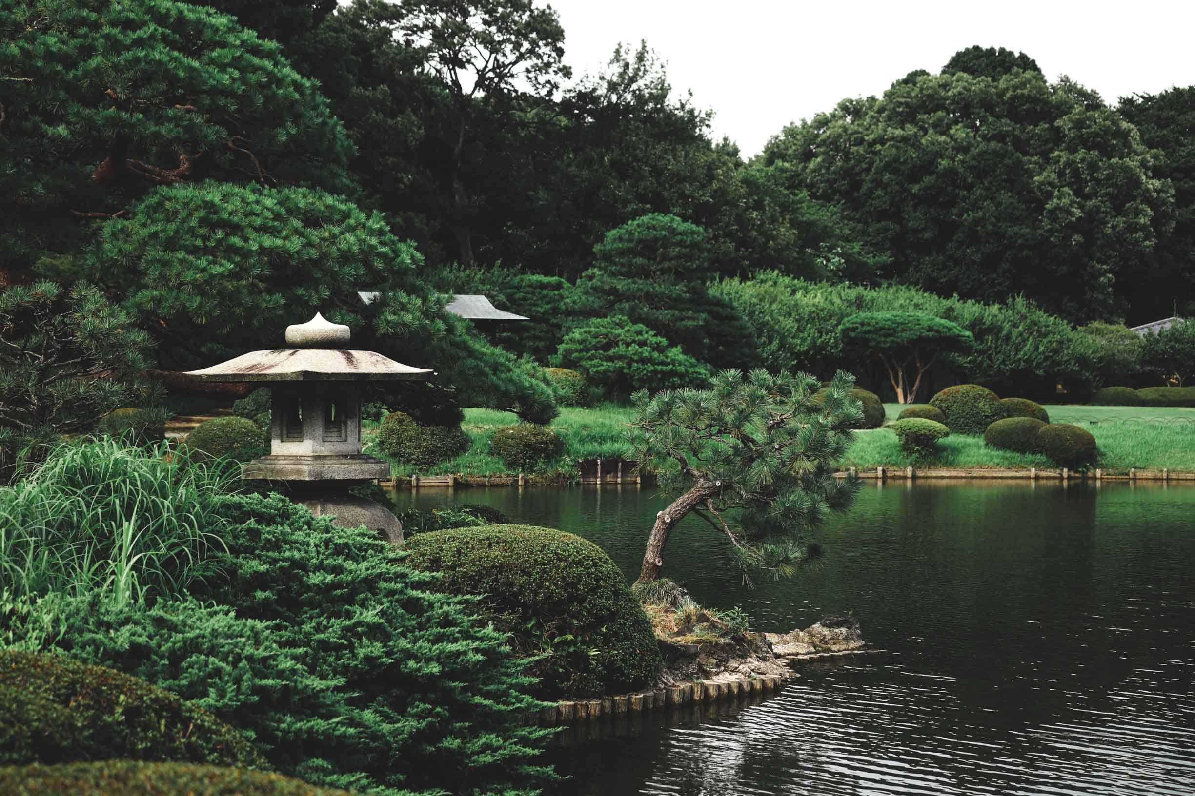 Best gardens in Japan #4 - Shinjuku-Gyoen (Tokyo) 1