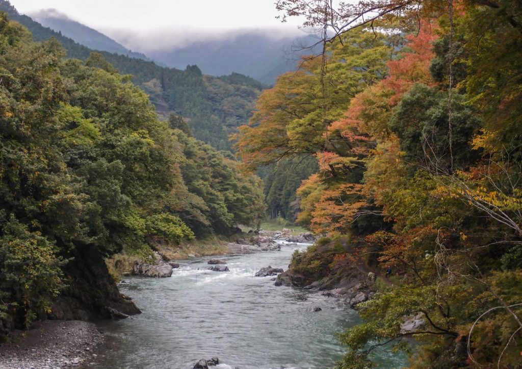 Things to do in Okutama Japan #5 - Seek Thrills at Tama River