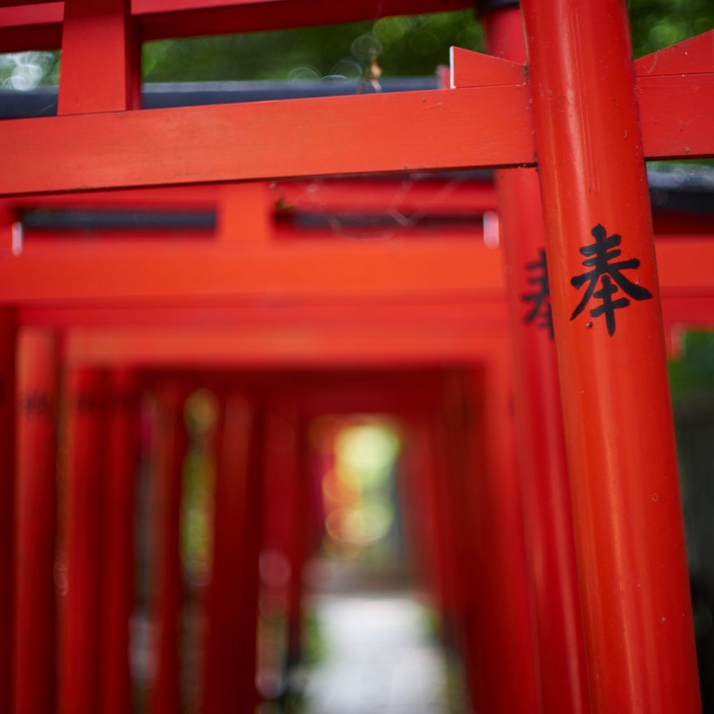 Yanesen Tokyo - Torii of Otome Inari at Nezu Shrine 5