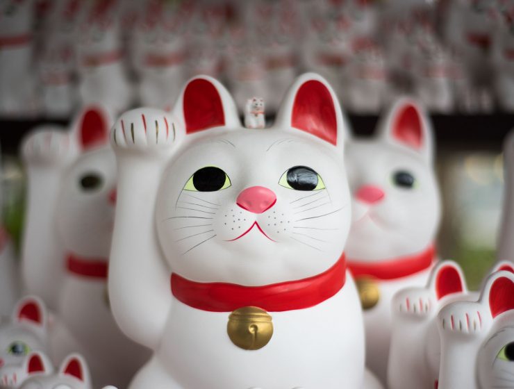 Most Instagrammable Places in Tokyo Gotokuji Temple 2