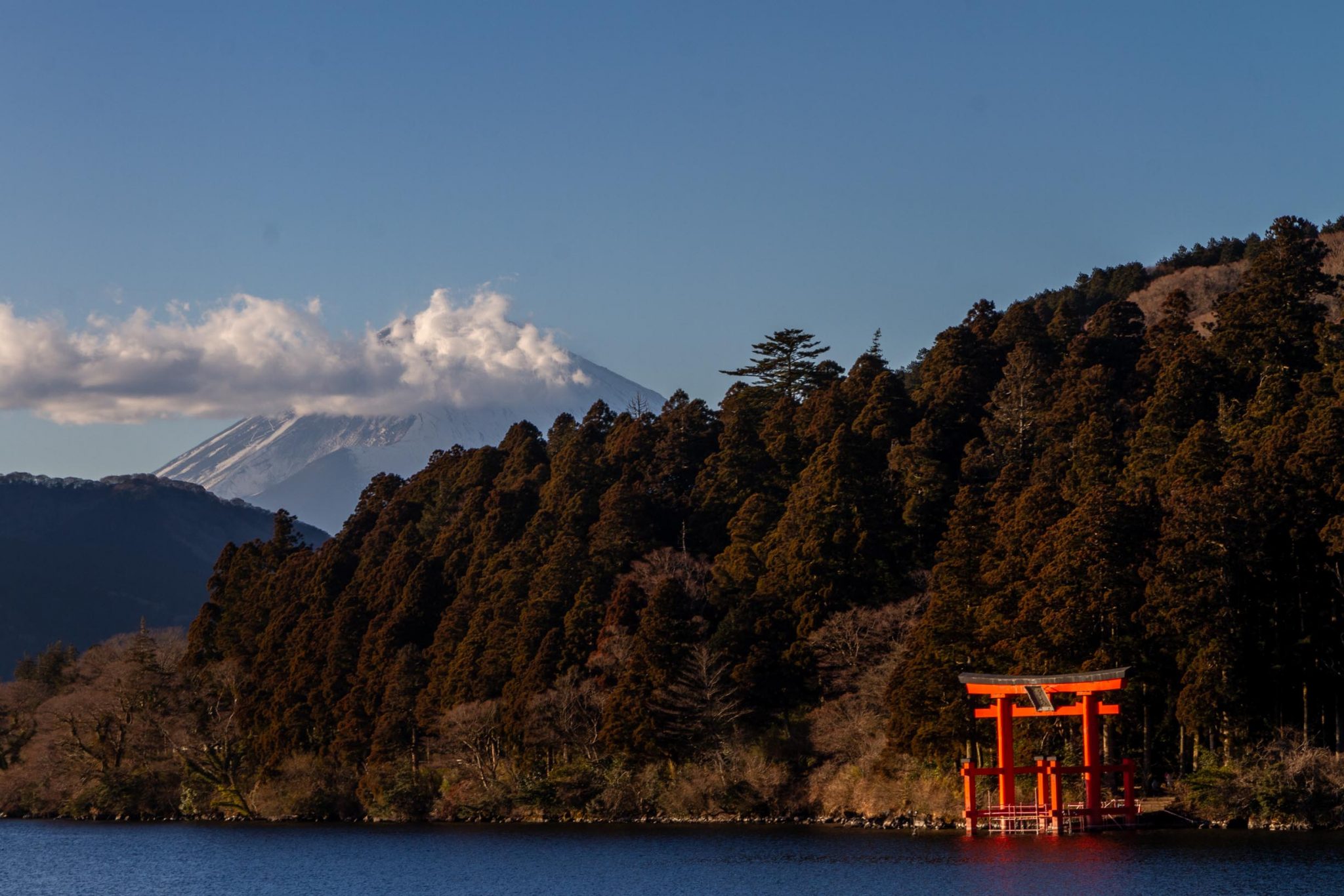 Fuji Top main image 0