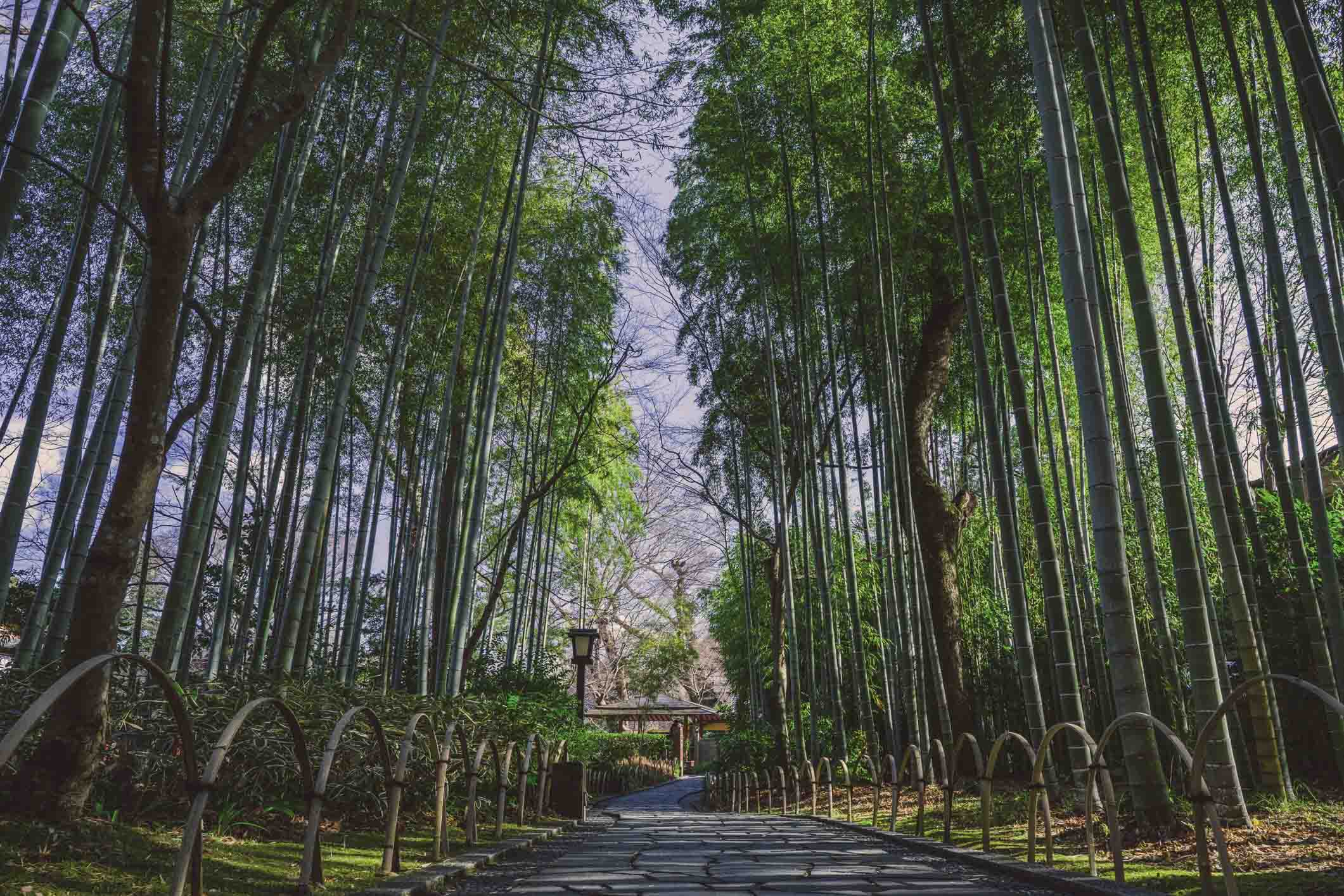 Shuzenji Onsen A Secret Hot Spring Town In Shizuoka Prefecture