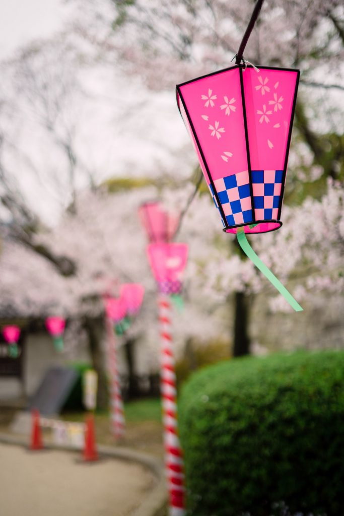 Sakura Osaka Best Cherry Blossom Spots Osaka Castle