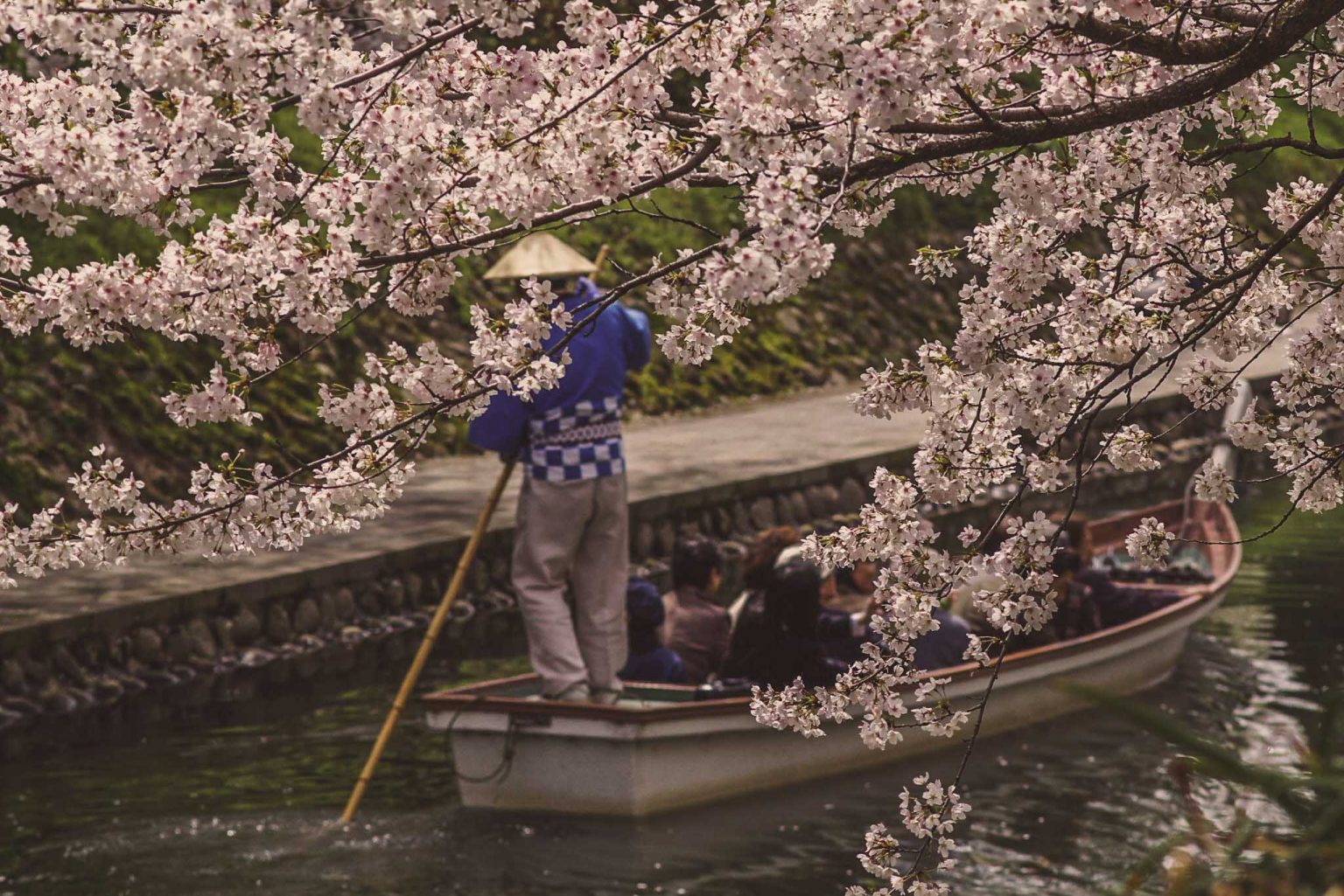 Toyama Japan All Our Travel Tips To Visit This Beautiful Coastal City