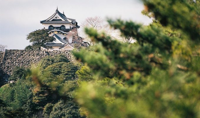 Hikone Castle Japan 3