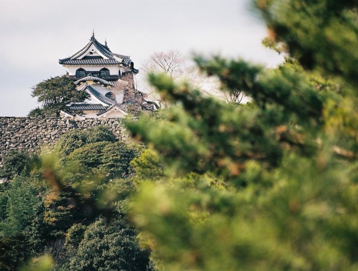 Hikone Castle Japan 3