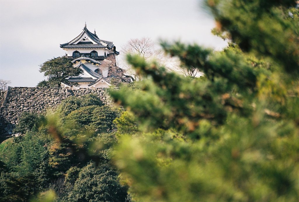 Hikone Castle Japan 3