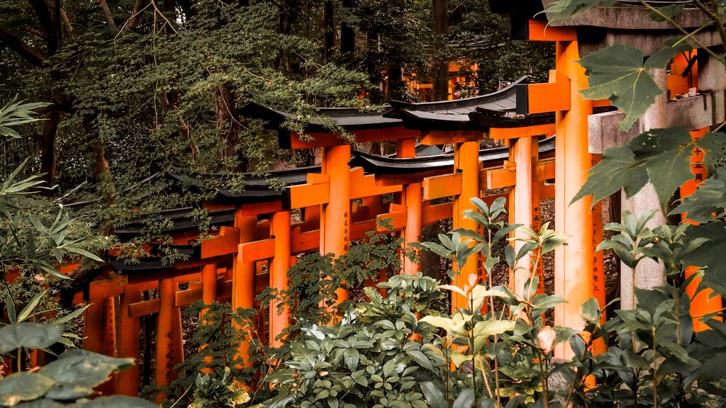 Fushimi Inari Shrine in Kyoto, Japan Fushimi Inari Shrine in Kyoto, Japan