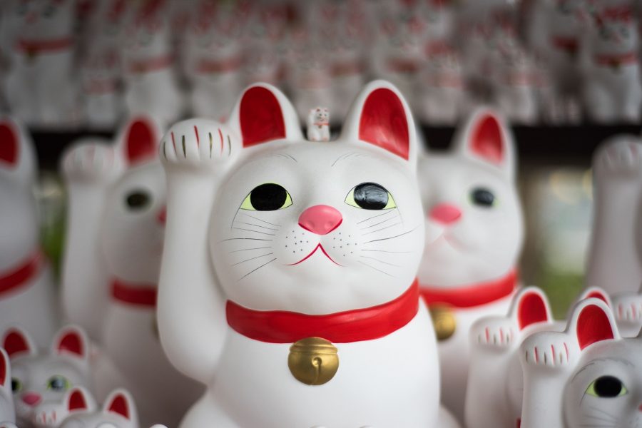 Maneki Neko Shop Gotokuji