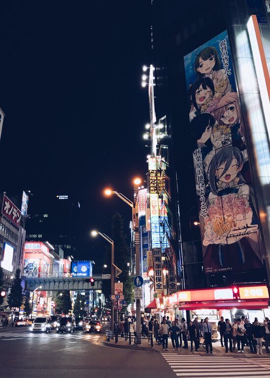 Lifestyle in Japan - Popular Hobbies Anime Akihabara