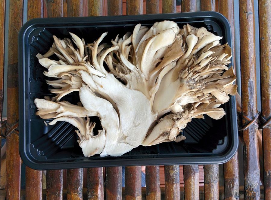 8 Healthy Japanese Mushrooms Why You Should Eat More