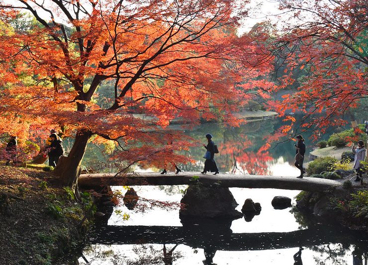 Autumn Leaves Foliage Forecast Japan 2021 Momiji