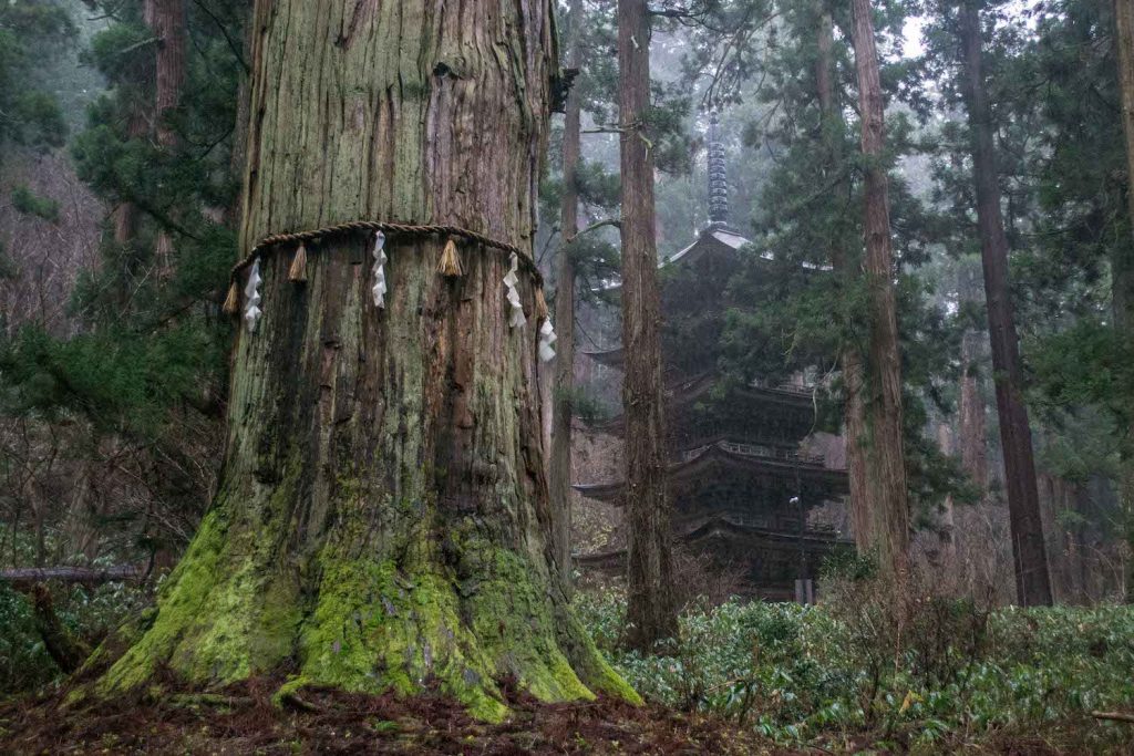 Dewa Sanzan Shrine Yamagata - Yamabushi 11 Mt Haguro