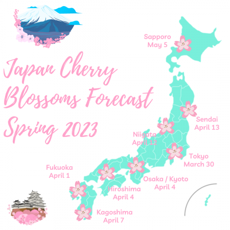 Cherry Blossom (Sakura) Forecast In Japan | Spring 2023