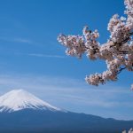 Cherry Blossom Forecast Japan Spring Sakura 2