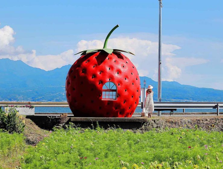 Konagai Fruit Bus Stop Nagasaki 7