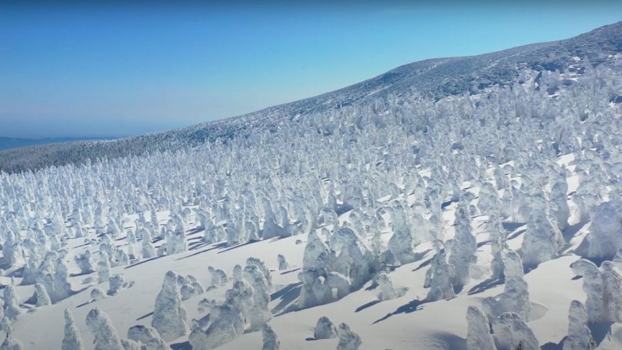 Zao Snow Monsters Drone