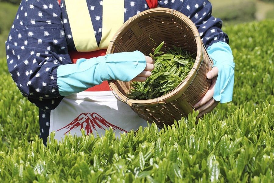 10 Different Types Of Japanese Green Tea You Should Try