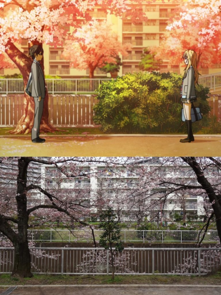 Shakuji River Your Lie in April Shakuji River Your Lie in April