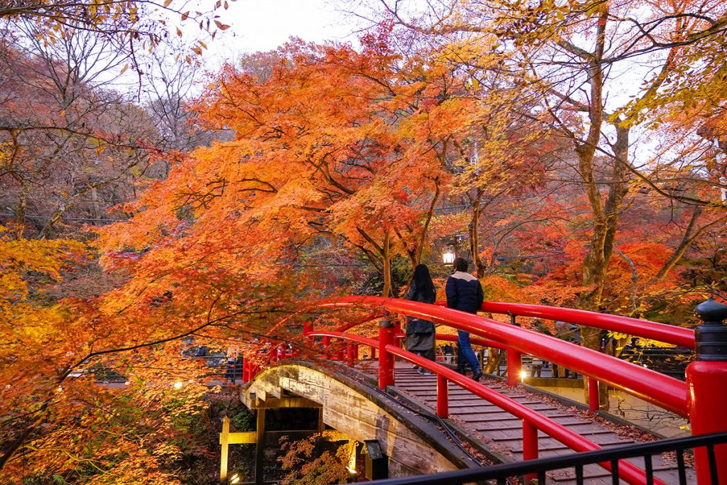 Kajika Bridge Kajika Bridge