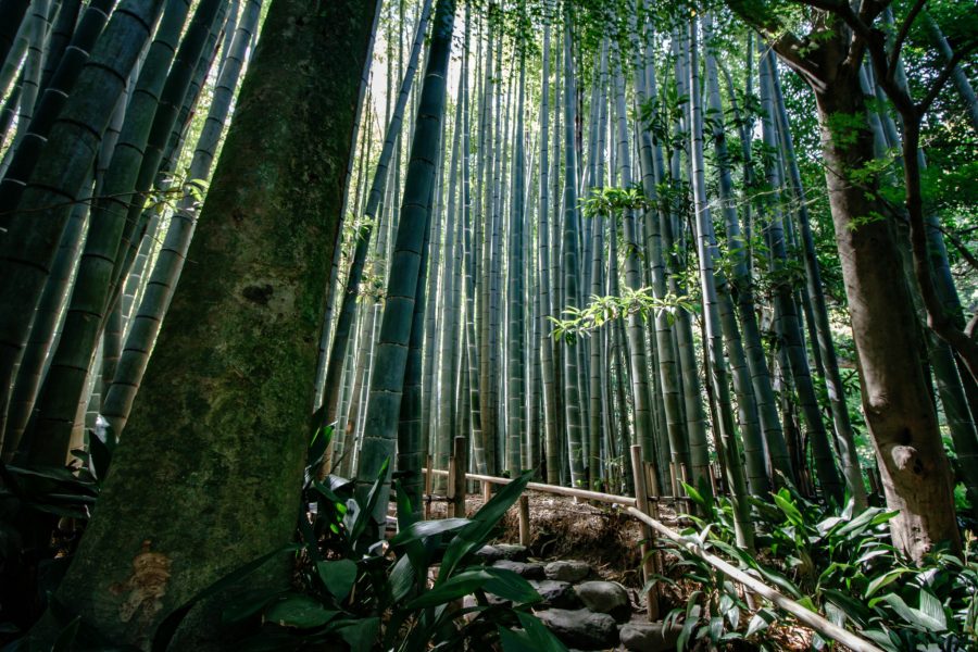 Hidden Gems In Kamakura